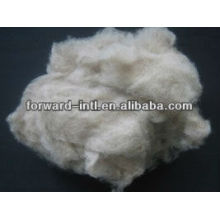 light grey/brown mongolian cashmere fiber